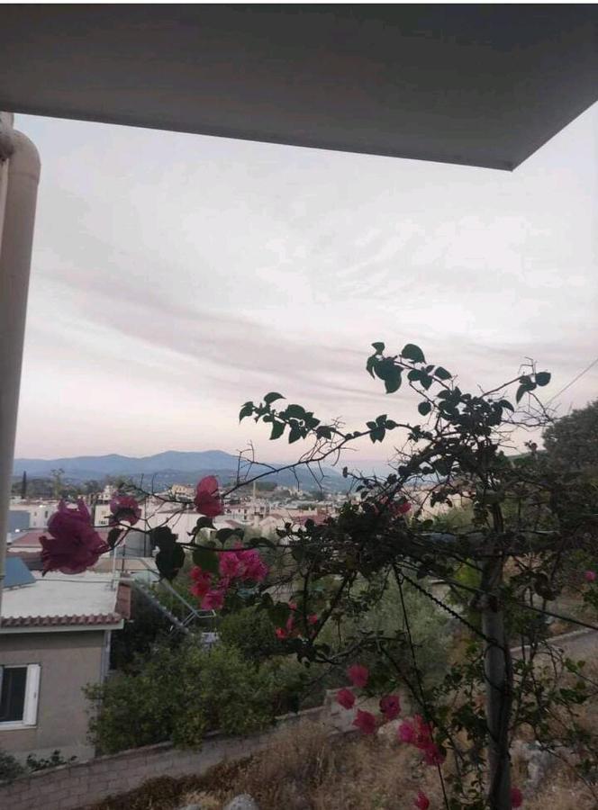 Όμορφο Και Ευρύχωρο Διαμέρισμα Με Θέα! Apartment Nafplio Exterior photo